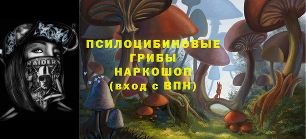 сатива Богородицк