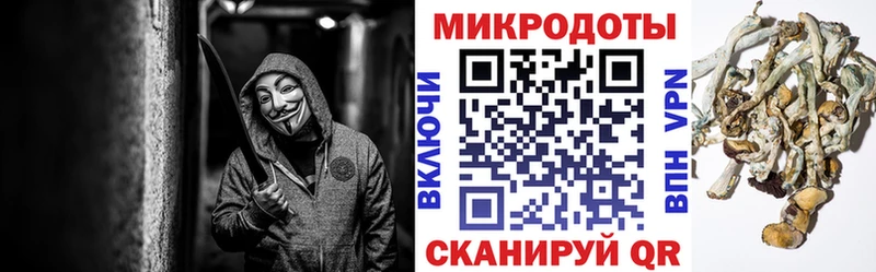 Псилоцибиновые грибы мухоморы Белогорск