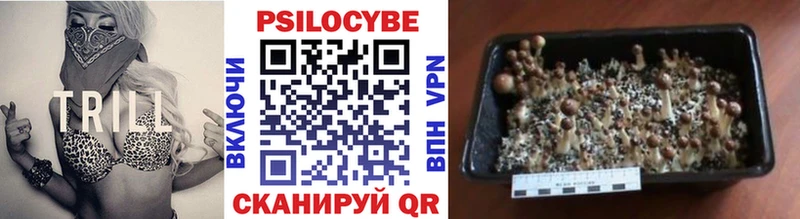 Купить закладки  Белогорск  Галлюциногенные грибы Cubensis 