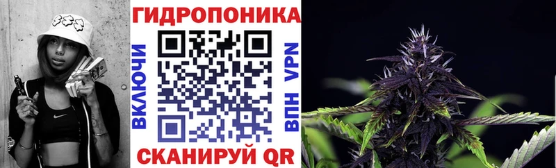 Бошки Шишки план  Купить  Белогорск 